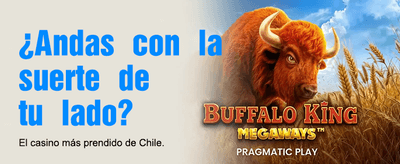 Bienvenido al Mejor Casino Online